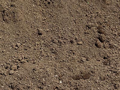 Erden / Mulch Mutterboden